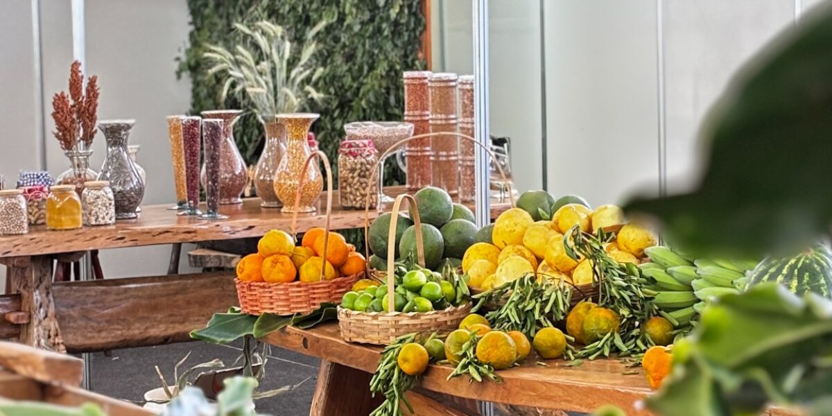 Governo de Goiás beneficia mais de 2 mil produtores da agricultura familiar