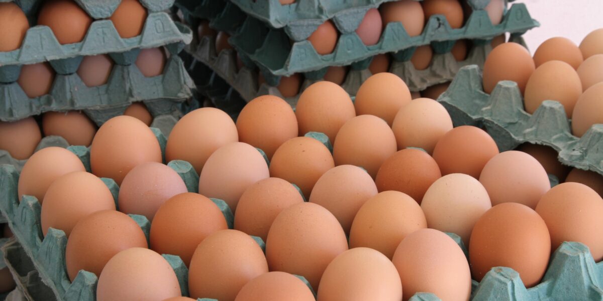 Goiás registra crescimento de 65,7% na produção de ovos