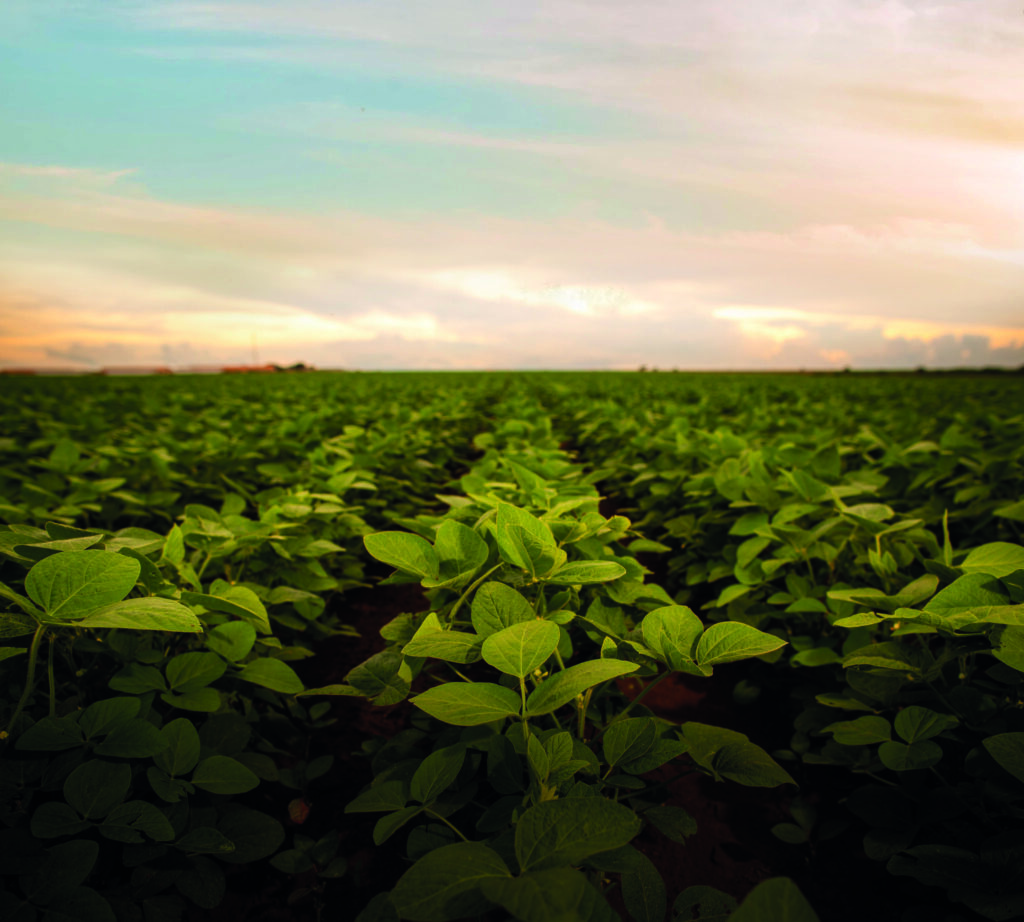 Governo de Goiás impulsiona agropecuária sustentável com o lançamento do Plano ABC+GO e a Revista Agro Goiás
