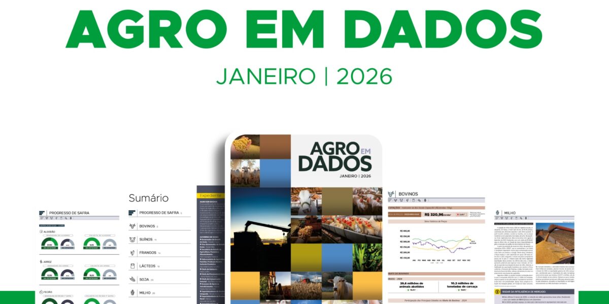 Governo de Goiás divulga boletim com indicadores da agropecuária goiana em 2025