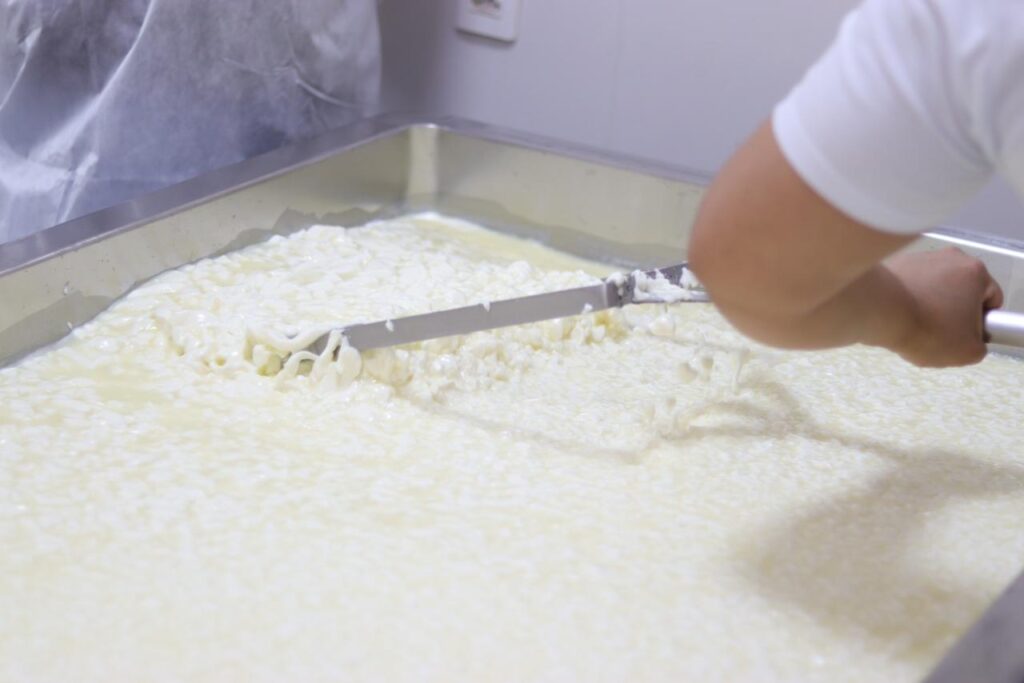 Inscrições para projeto de melhoria de agroindústrias em Goiás encerram neste sábado (7/2) Inscrições para projeto de melhoria de agroindústrias em Goiás encerram neste sábado (7/2)