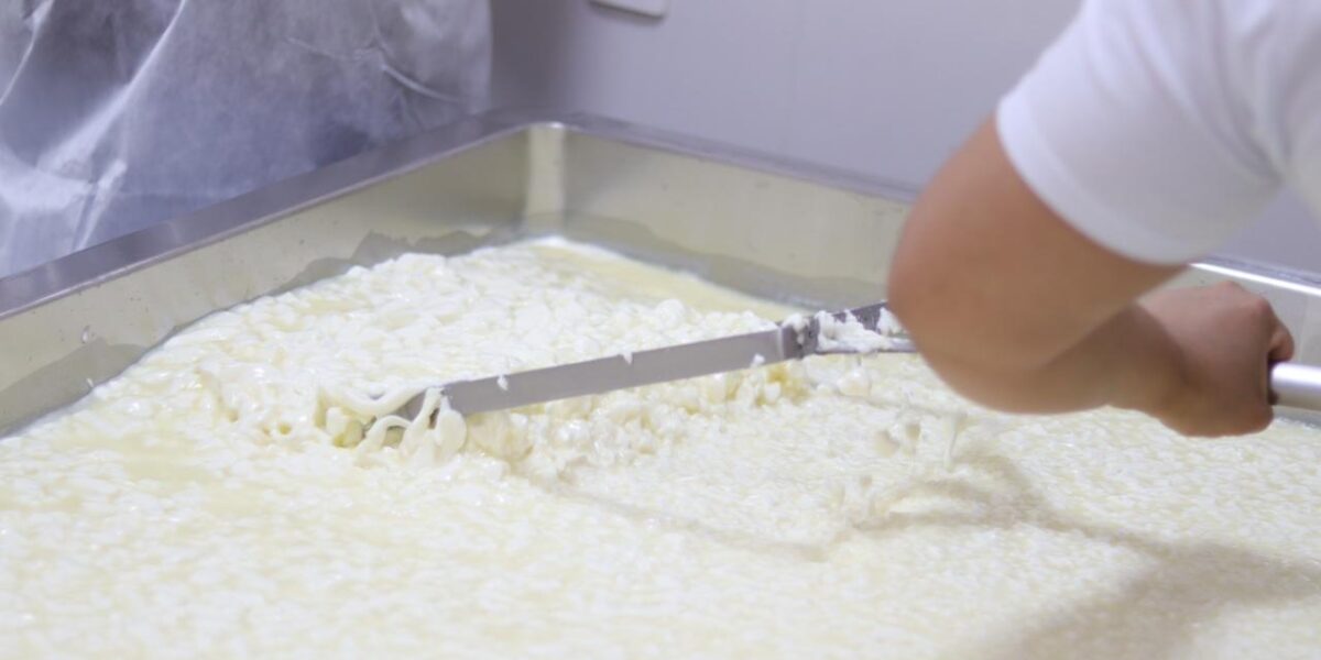 Inscrições para projeto de melhoria de agroindústrias terminam neste sábado (7/2)