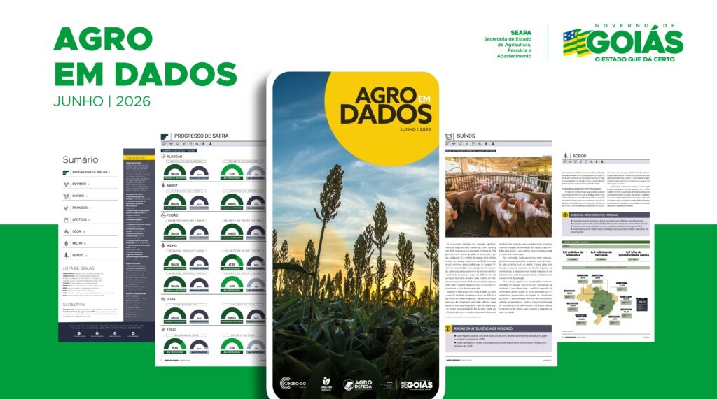 Agro em dados: Principais resultados da produção agrícola em junho de 2026