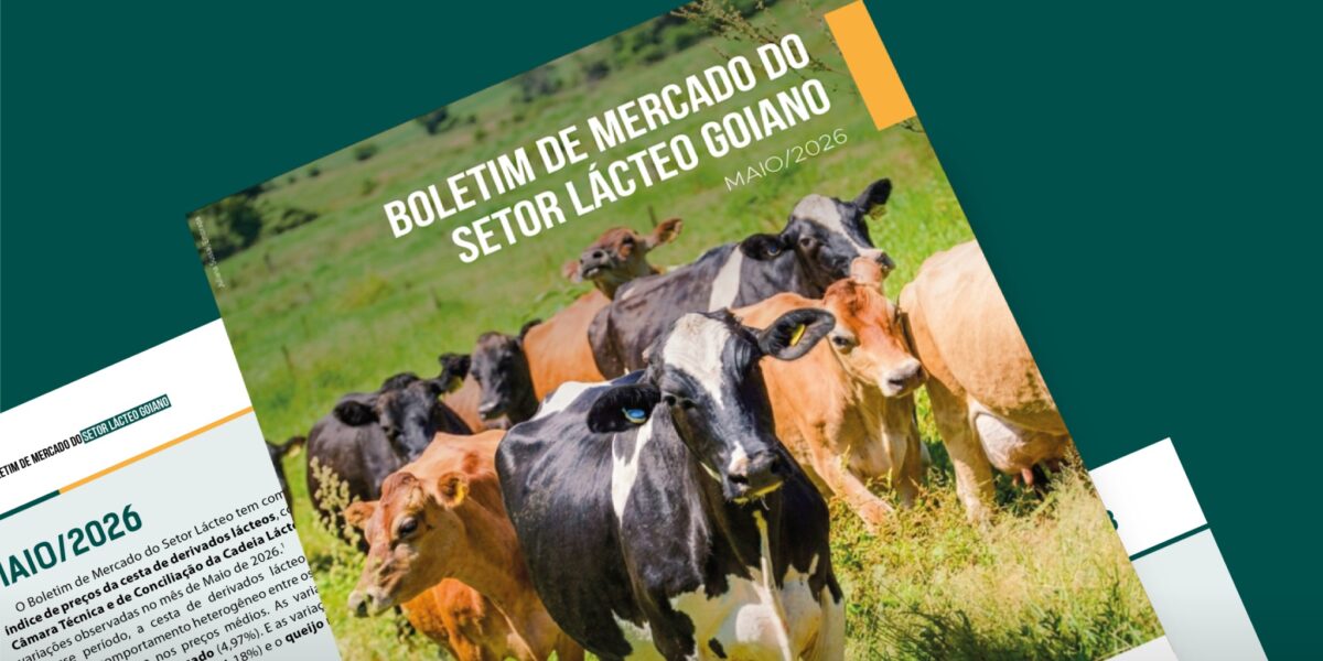 Preços dos derivados lácteos apresentam estabilidade no mercado atacadista goiano em maio
