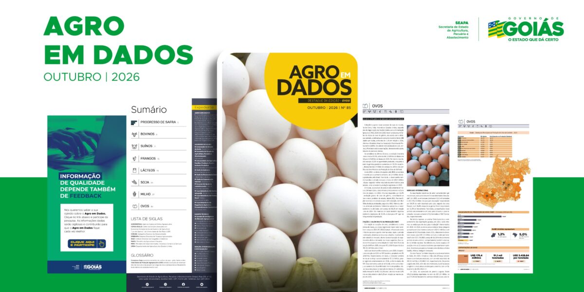 Goiás registra segundo maior volume de produção de ovos no primeiro semestre