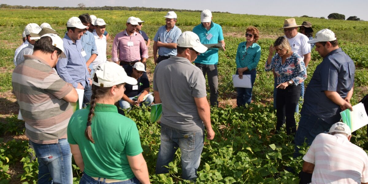 Fiscais passam por capacitação para monitoramento da mosca-branca em Goiás