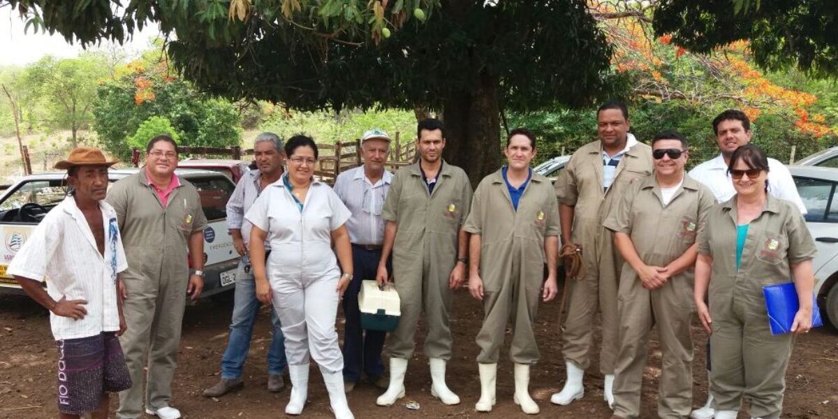 Regionais Rio Paranã e Rio Itiquira recebem treinamento em Vigilância Ativa