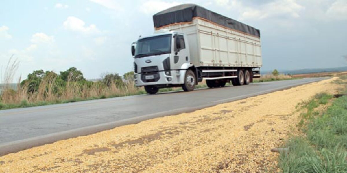 Agrodefesa Intensifica as Fiscalizações do Transporte de Grãos de Soja