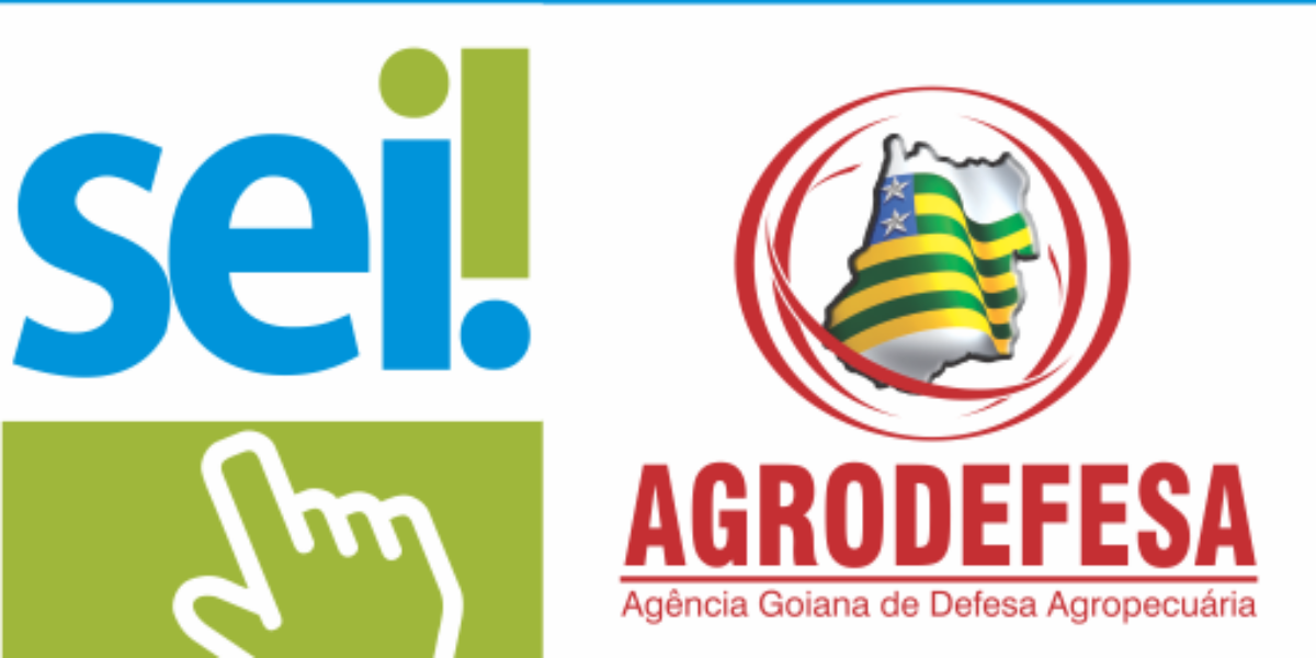 AGRODEFESA PARTICIPA DE CURSO DE CAPACITAÇÃO DO SEI