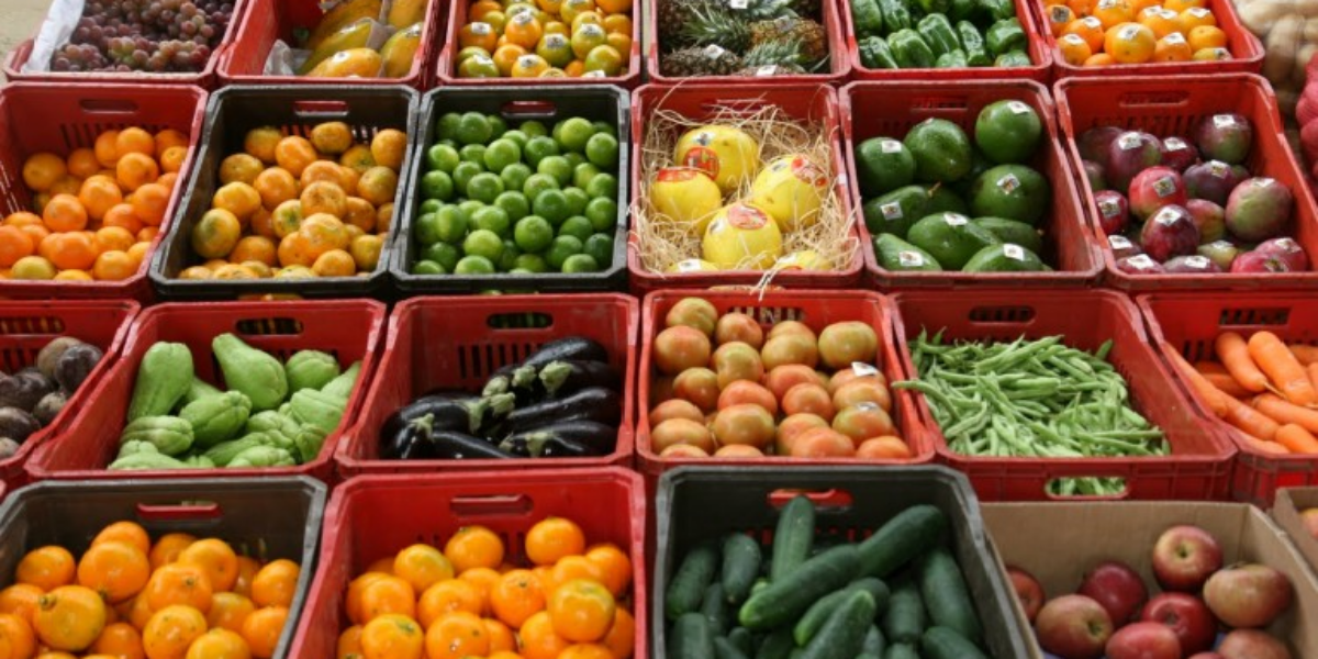 EMISSÃO ELETRÔNICA DE DOCUMENTOS DE TRÂNSITO VEGETAL PELO PRODUTOR RURAL