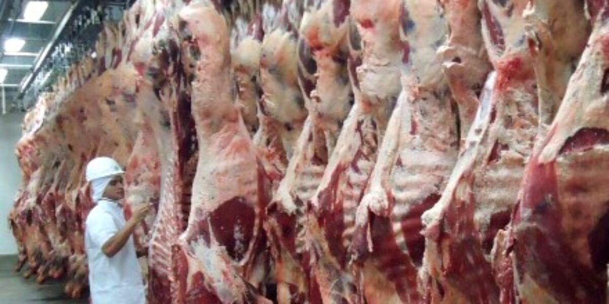 Exportações goianas podem superar US$ 8 bilhões em 2018. Carnes lideram balança comercial em novembro