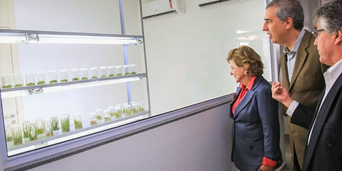 Governo Estadual entrega complexo de laboratórios da Emater para desenvolver o agronegócio
