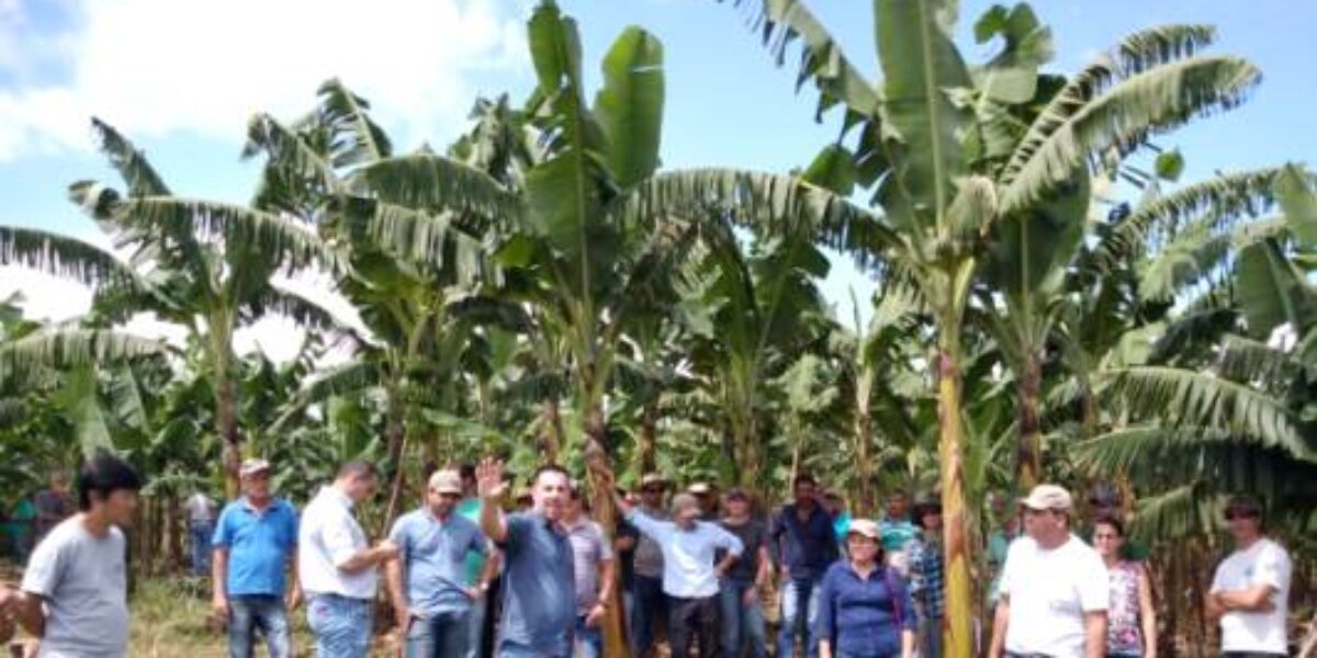 Agrodefesa marca presença na Feira da Bananicultura e Agronegócio em São Paulo