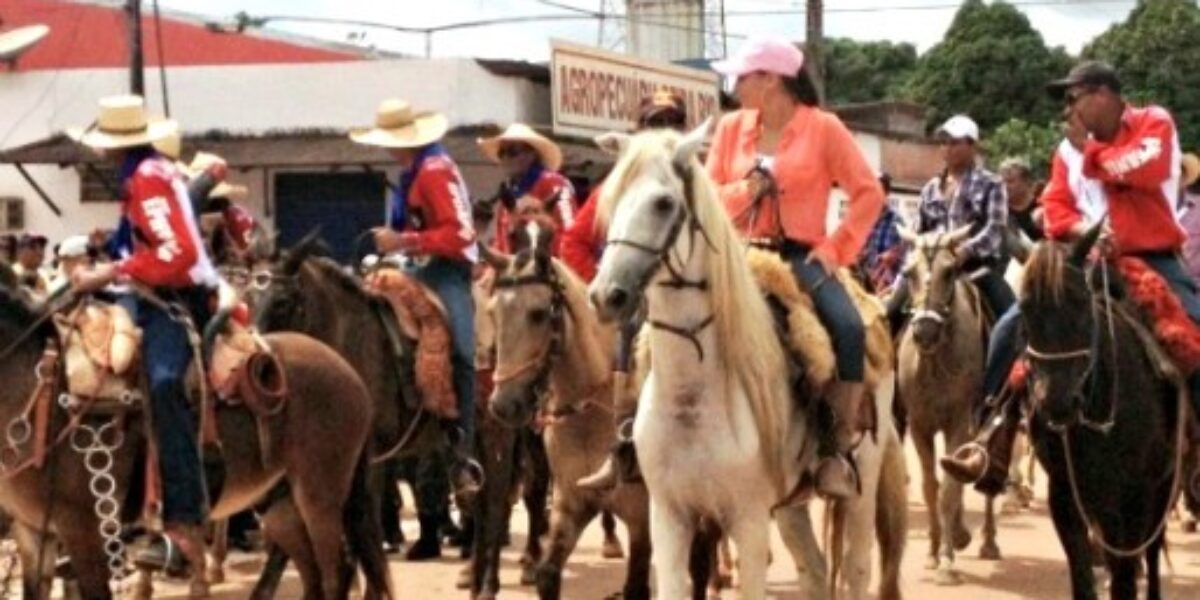 Realização de eventos com equídeos deve observar regras sanitárias, alerta Agrodefesa