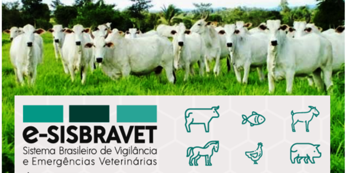 Sistema digital facilita notificação de enfermidades de animais e amplia vigilância sanitária no País
