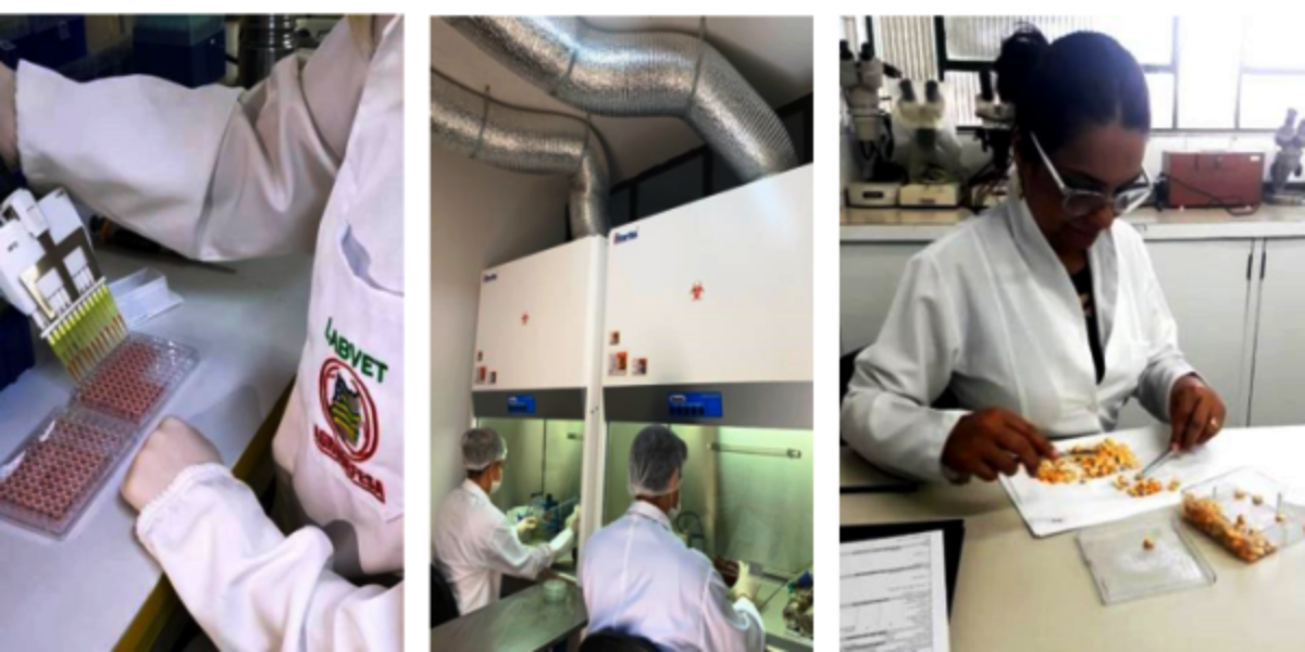 Agrodefesa destaca resultados dos laboratórios em 2019 e planeja mais investimentos neste ano