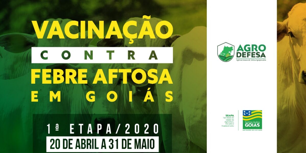 Governo de Goiás, por meio da Agrodefesa, divulga regras da campanha de vacinação contra aftosa