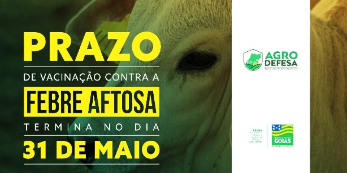 Governo de Goiás, por meio da Agrodefesa, intensifica divulgação da vacinação contra aftosa, que termina no próximo dia 31