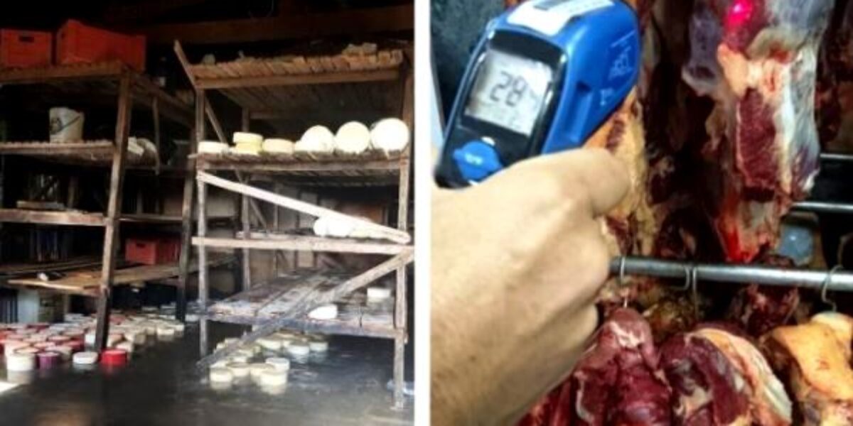 Fiscais da Agrodefesa apreendem e inutilizam queijo e carne impróprios para consumo em Catalão