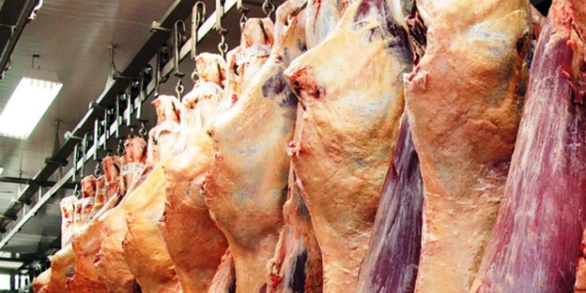 Tailândia anuncia decisão de importar carne bovina de Goiás e outros quatro Estados brasileiros   