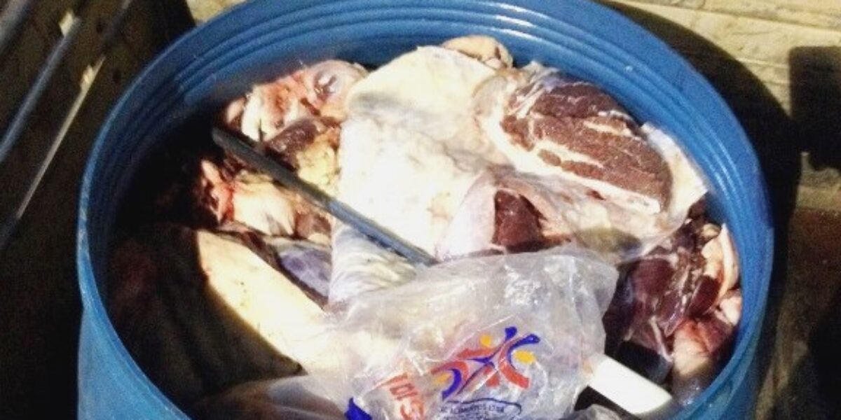 Fiscais da Agrodefesa interceptam abate clandestino e inutilizam produtos de origem animal em Catalão