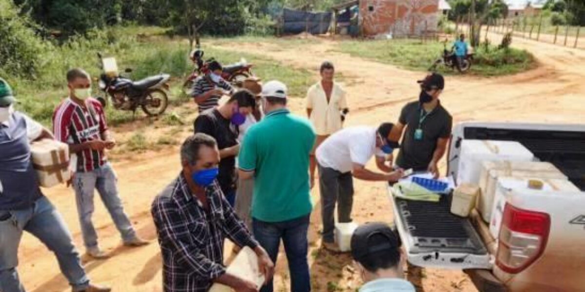 Governo de Goiás, por meio da Agrodefesa, e Fundepec doam a quilombolas 20,7 mil doses de vacina contra aftosa