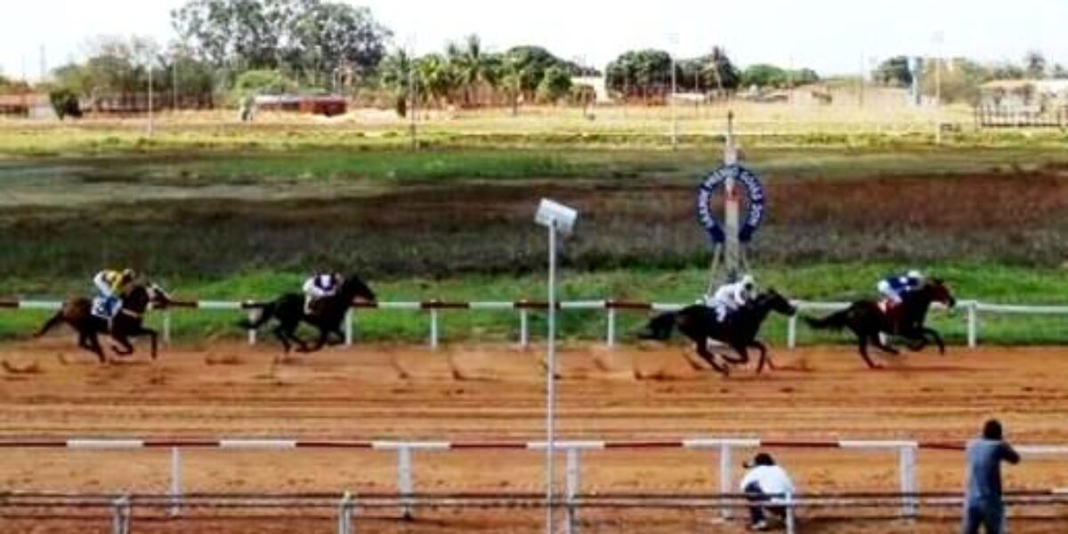 Governo de Goiás, por meio da Agrodefesa, fixa critérios para provas esportivas equestres e turfe