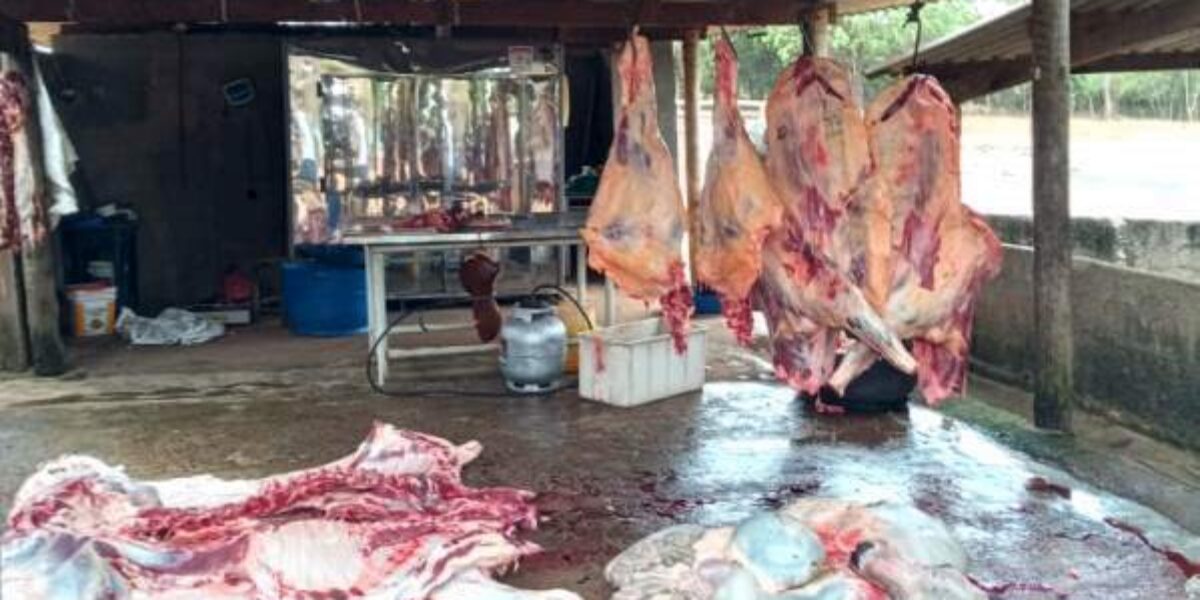 Agrodefesa e Polícia Militar impedem comércio de carne imprópria para consumo humano em Catalão