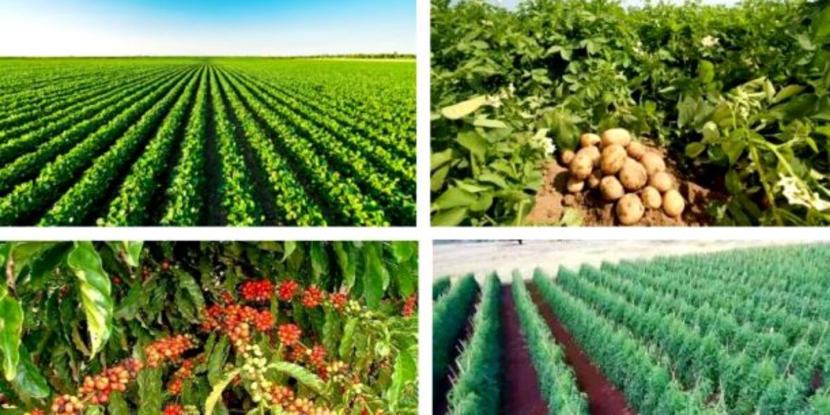 Agrodefesa orienta emissor de receita agronômica para observar cuidados legais na indicação de agrotóxicos