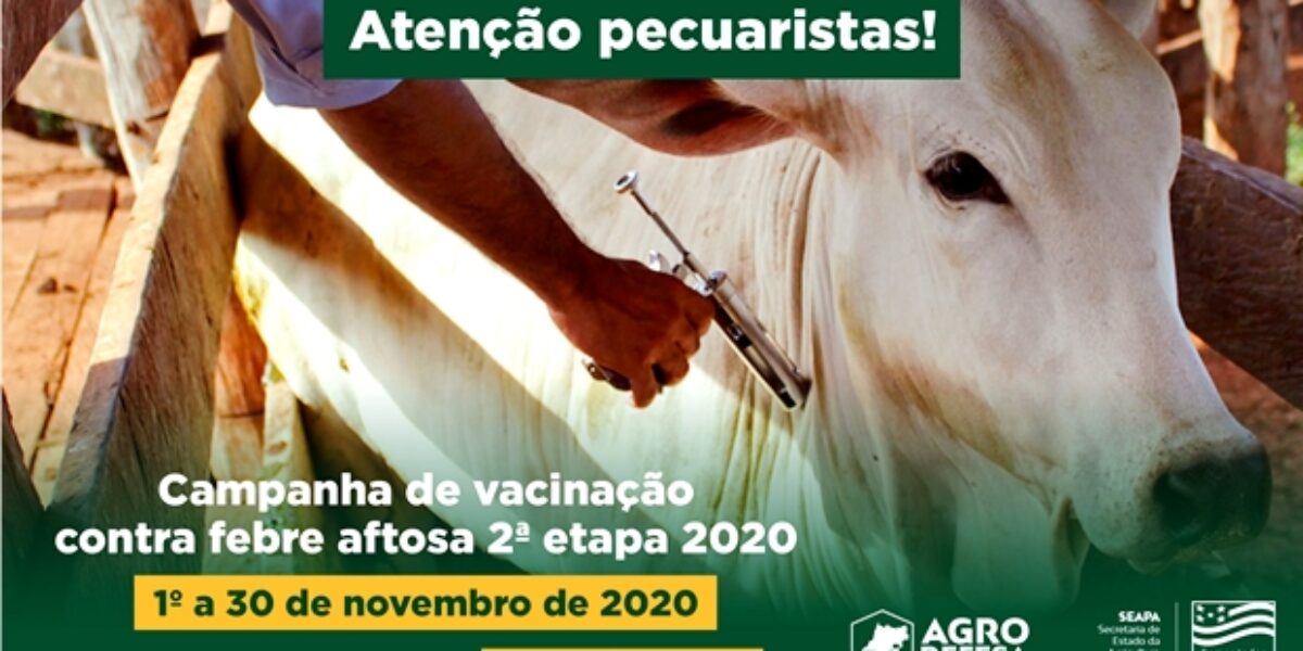 Campanha de vacinação contra aftosa começa no domingo