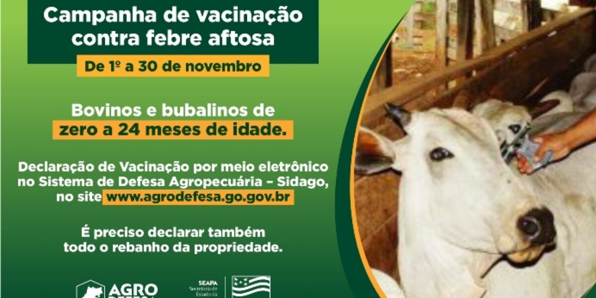 Governo de Goiás destaca importância da campanha de vacinação contra febre aftosa em novembro