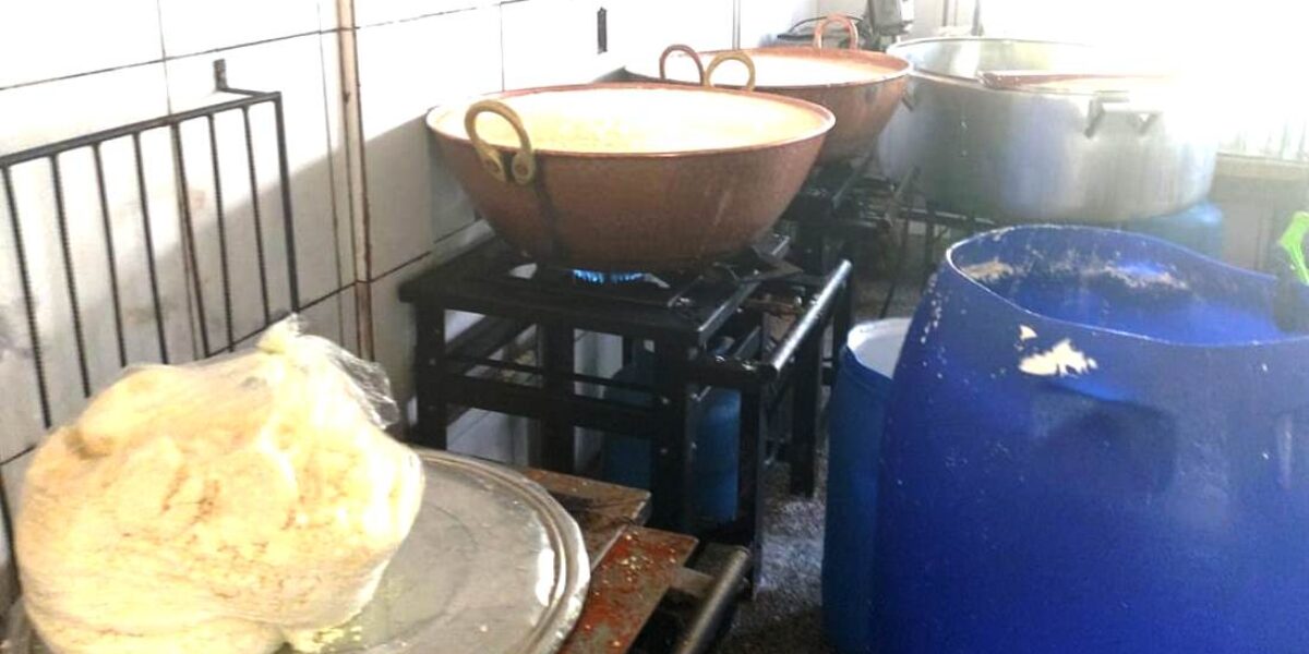 Agrodefesa apreende e inutiliza produtos lácteos impróprios para consumo em Terezópolis