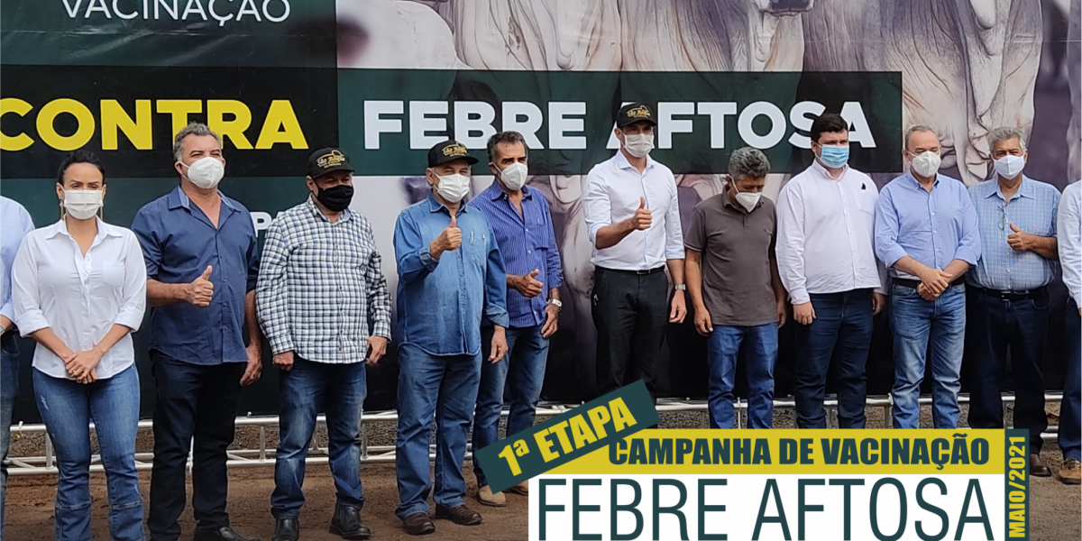 Em Terezópolis de Goiás, Governo do Estado inicia primeira etapa de vacinação contra febre aftosa