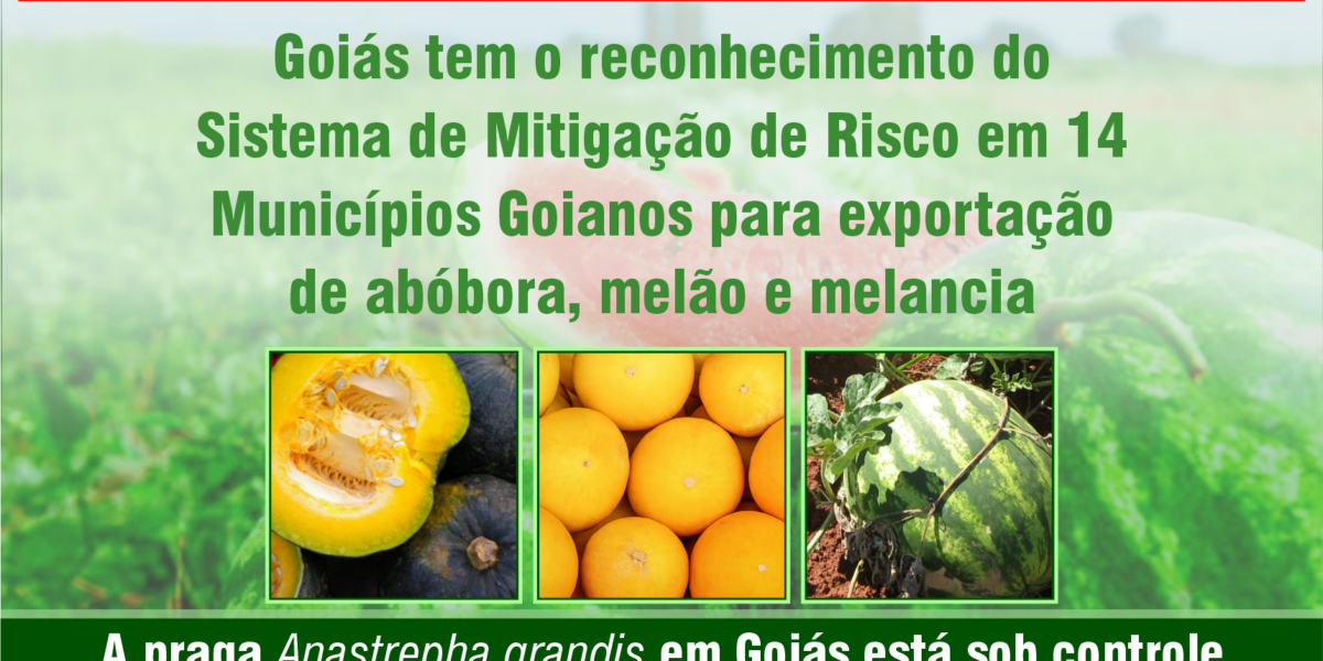 Goiás é detentor do status de reconhecimento do Sistema de Mitigação de Risco em 14 Municípios Goianos para exportação de abóbora, melão e melancia