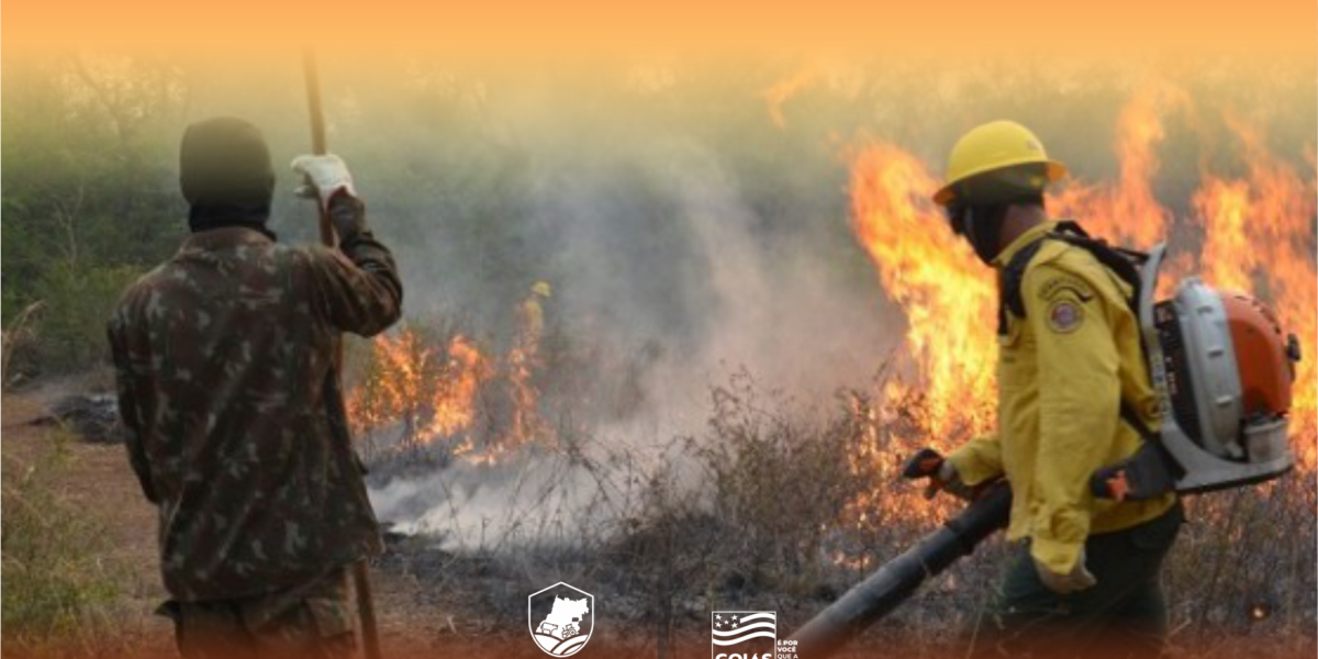 Agrodefesa participa de criação do Comitê de Prevenção e Combate a Focos de Incêndio na Zona Rural em Goiás