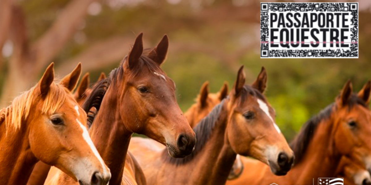 Agrodefesa intensifica divulgação do Passaporte Equestre