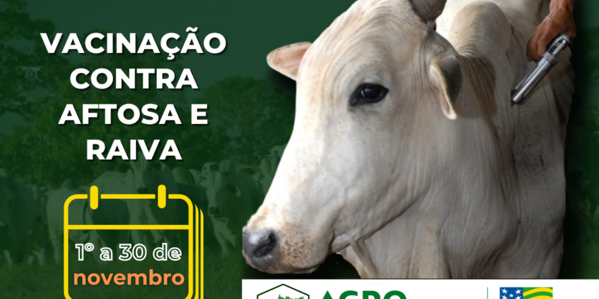 Campanha de vacinação contra aftosa e raiva começa hoje (1º/11)