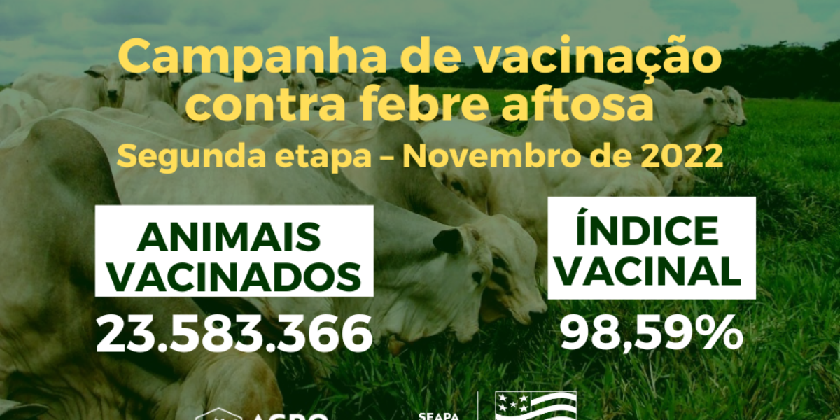 Goiás alcança índice vacinal de 98,59% contra aftosa na última campanha realizada no Estado