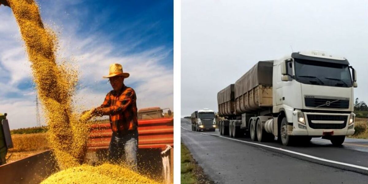 Começa colheita da soja e Agrodefesa fiscaliza transporte para reduzir perdas