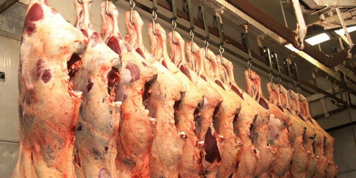 México poderá importar carne bovina de Goiás e de outros estados
