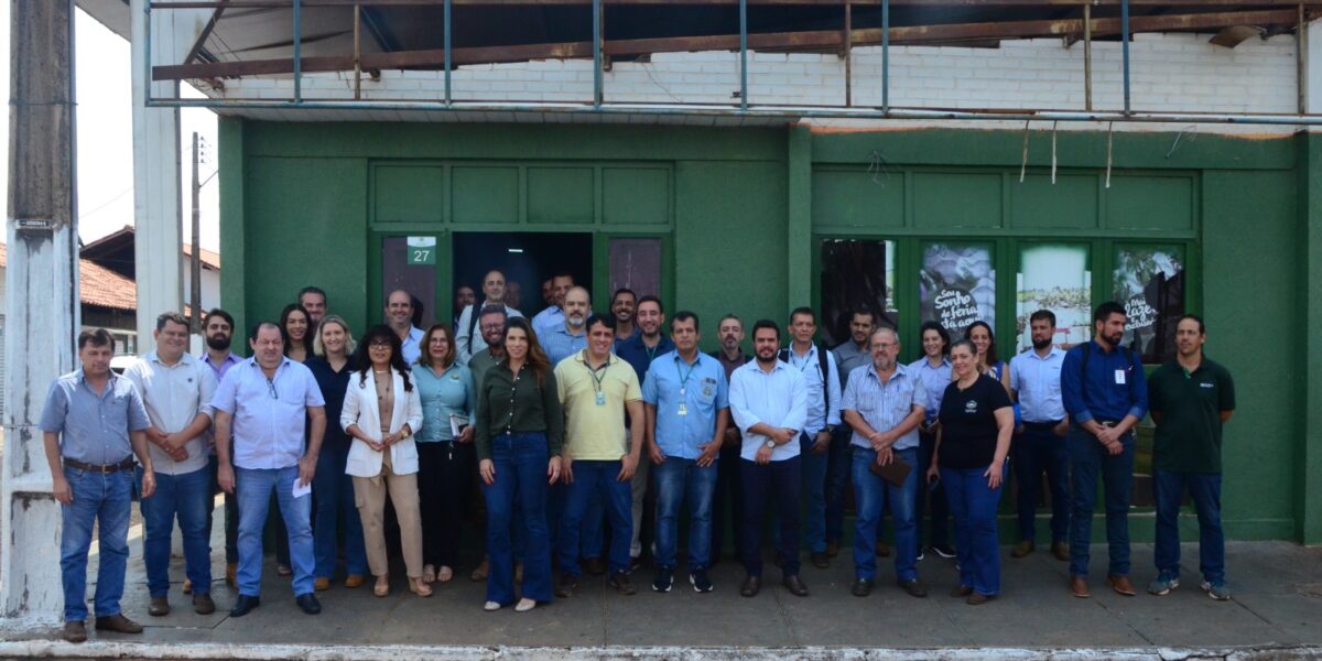 Agrodefesa e entidades do agro realizam encontro para discutir medidas de prevenção e controle do milho tiguera em Goiás
