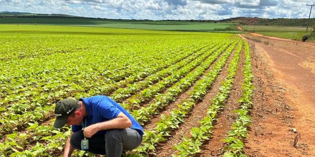 “Agrodefesa 20 anos”: Caiado destaca promoção da segurança sanitária no campo