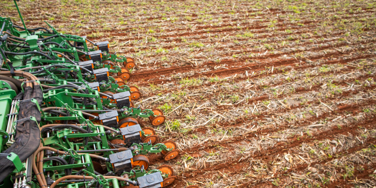 Agrodefesa busca junto ao Ministério da Agricultura prorrogação do prazo para semeadura de soja em Goiás