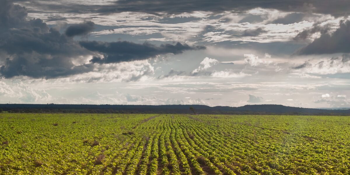 Agrodefesa integra expedição que vai mapear safra da soja 2023/2024