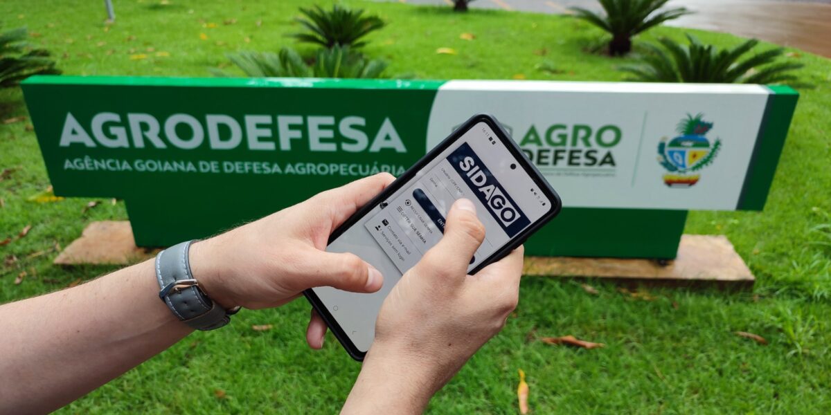 Prazo da primeira etapa de declaração de rebanho começa no dia 1º de maio em Goiás