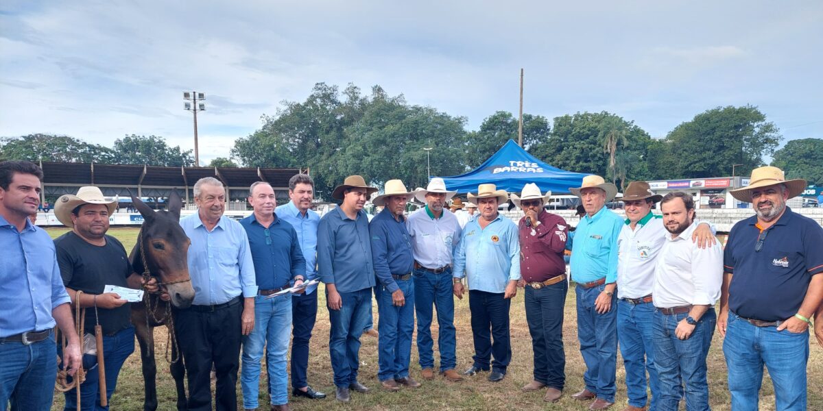 Agrodefesa, Sistema Faeg e ABC Muares firmam parceria para divulgação do Passaporte Equestre em Goiás