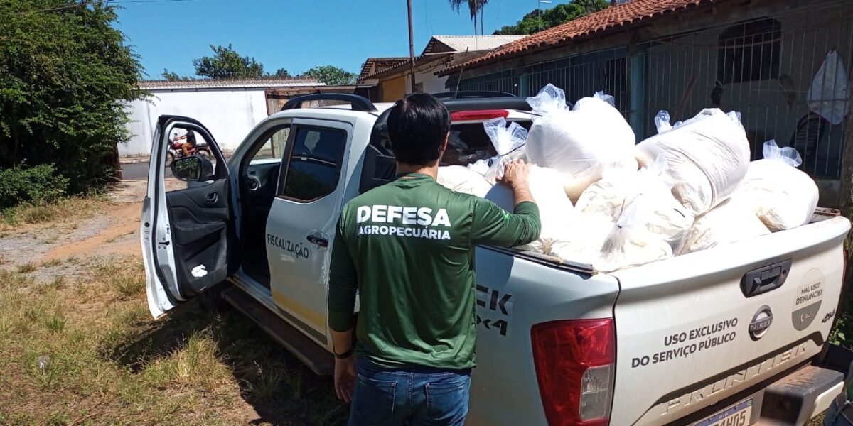 Agrodefesa apreende 2,5 toneladas de queijos ralados impróprios para consumo em Hidrolândia