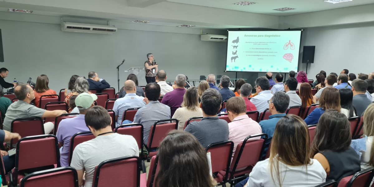 Agrodefesa promove Fórum sobre Influenza Aviária durante a 8ª Conferência Nacional sobre Defesa Agropecuária
