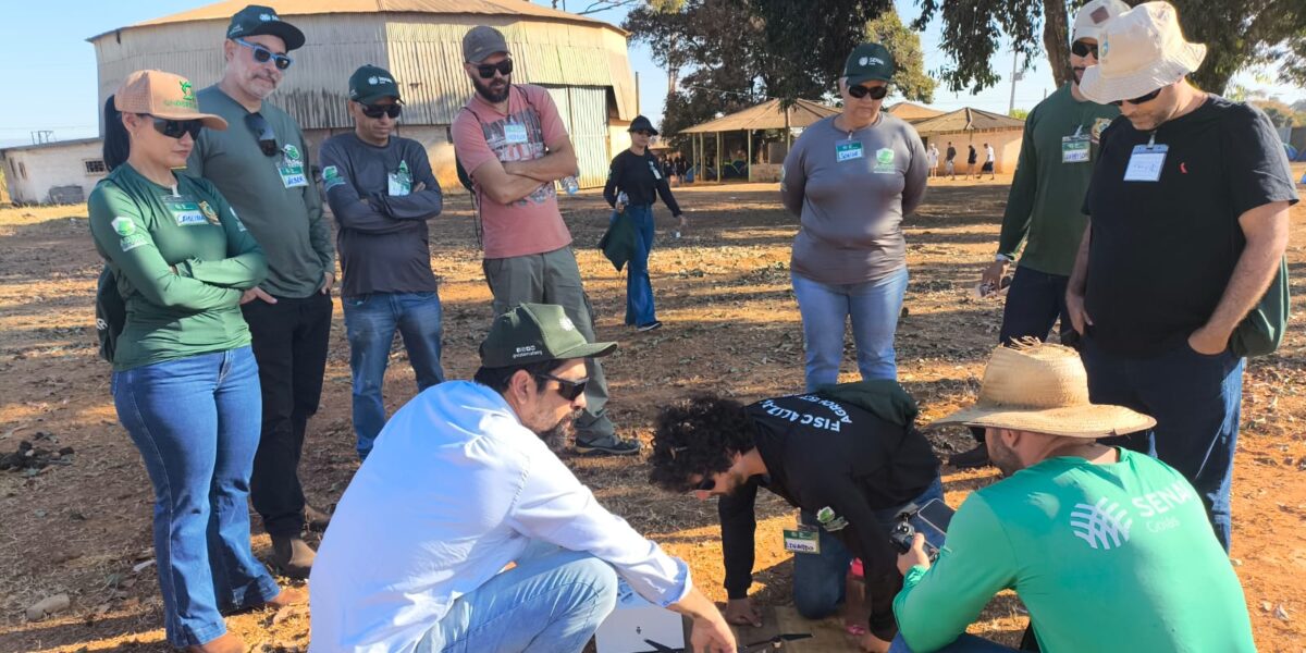 Drones são utilizados no campo para aprimorar o serviço da defesa agropecuária em Goiás