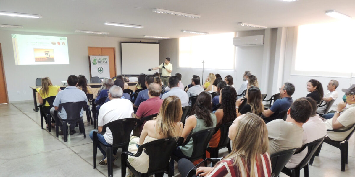 Agrodefesa realiza Semana Interna de Prevenção a Acidentes do Trabalho e Assédio